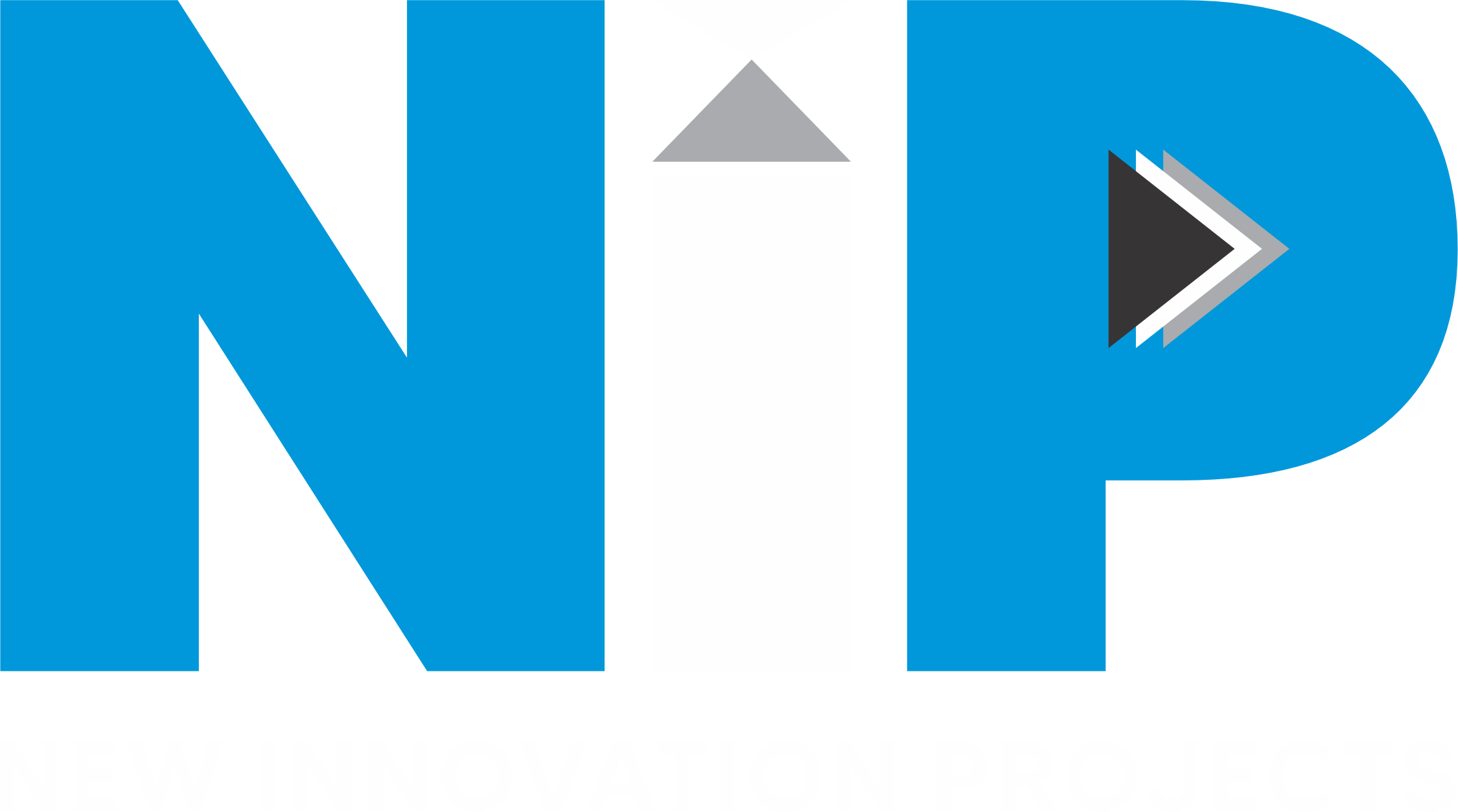 NIP Logo